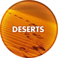 Fonds d'écran du désert en 4K